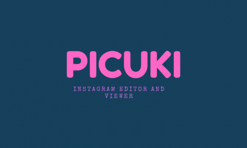 Picuki Lovers’ Ultimate Handbook | 2022