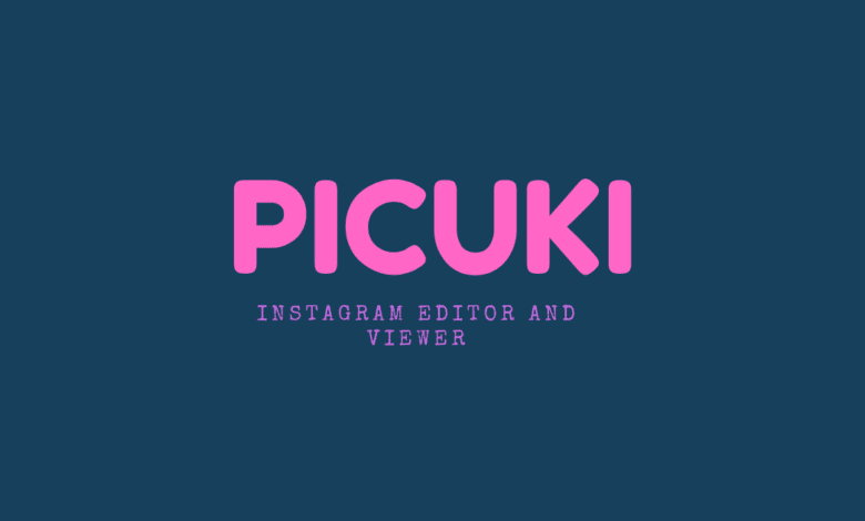 Picuki Lovers’ Ultimate Handbook | 2022