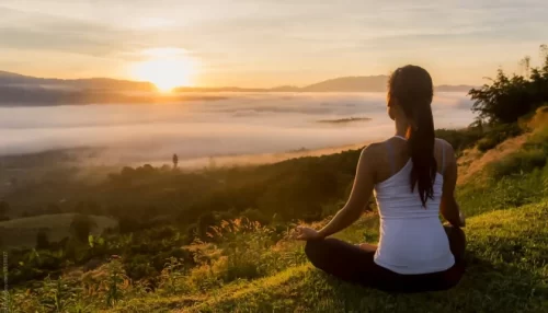 Mindfulness and Meditation for Busy Professionals