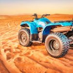 Desert Freedom on Wheels